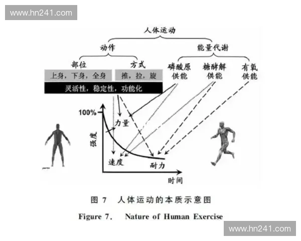 基于运动表现等级评估的训练优化与竞技能力提升路径研究体系构建与实践应用